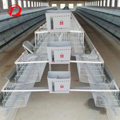 China Automatic Layer Chicken Layer Battery Cages For Sale In South Africa for sale