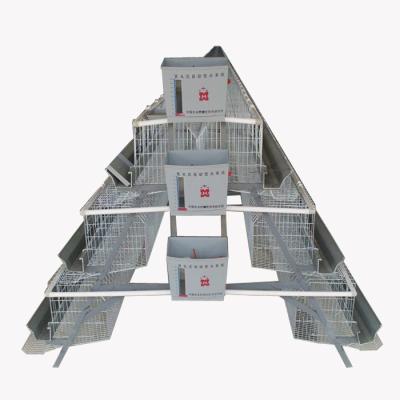 China Layer Chicken 3 Tire Cold Dip Galvanized Wire Mesh Poultry Farm Chicken Layer Cage Used In Poultry Farm for sale