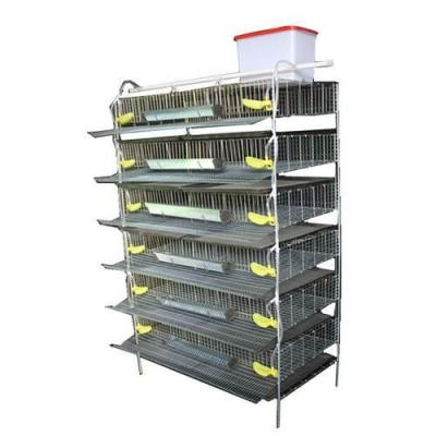 China Commercial Automatic Chicken Farm Quail Breeding Cage For Sale for sale