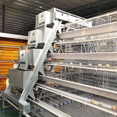 China Chinese factory direct supply automatic breeding hot dip galvanized chicken layer cage for sale for sale