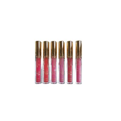 China Latest Arrival Lip Gloss Cosmetics Good Quality Lip Gloss Wand Waterproof Pink Tubes for sale