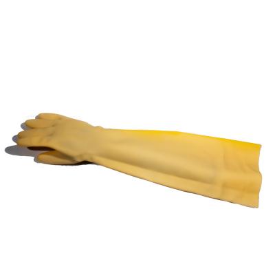 China Portable Comfortable Long Type-Yellow Latex Gloves for sale