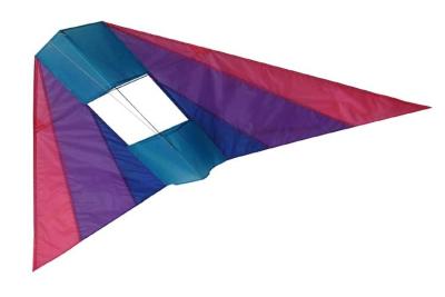 China Foldable 3D Kite Easy Installation Convenient Carry Wear Resistant 183*81cm for sale