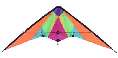 China Easy Assembled Delta Stunt Kite With Rainbow Pattern Customized Color for sale