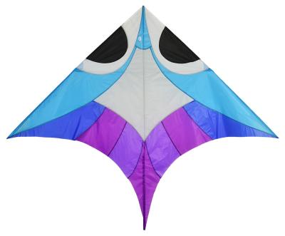 China Kids Playing Use Delta Wing Kite Without Tail Fish Pattern 180*142cm for sale