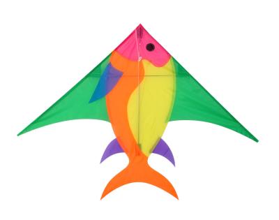 China Fish Pattern Delta Wing Kite Single Line Type Easy Assembled For Beginner for sale