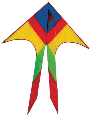 China Nylon Material Delta Wing Kite 2-5bft Swing Range With Fiberglass Frame for sale