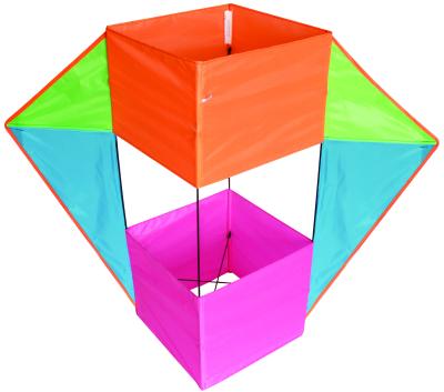 China 99*80cm 3D Kite Nylon Or Polyester Material 2-5bft Swing Range Convenient Carry for sale