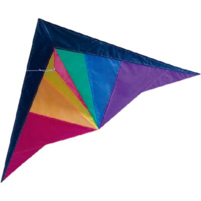 China Ripstop Nylon Material Delta Wing Kite 2-5bft Swing Range With Fiberglass Frame for sale