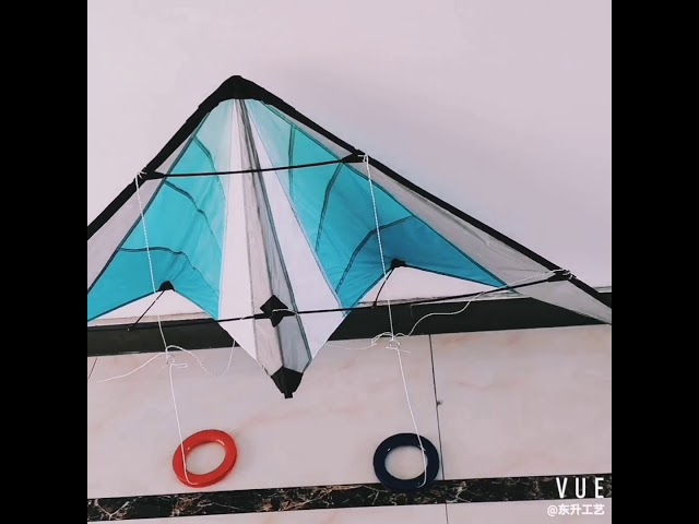 Delta stunt kite  with dual line