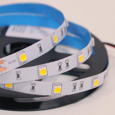 China LANDSCAPE 24V 5050 60LED/M 10MM IP33 IP20 CRI97 CRI97 98 LED CRI95 CRI97 98 LED Strip Lights Led Strips Bedroom for sale