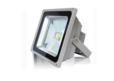 Cina proiettore di 2700-7300K 20W LED in vendita