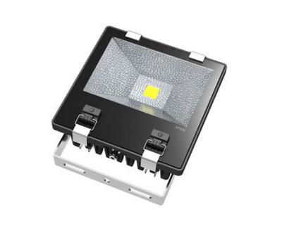 China Meanwell Driver ASA Outdoor LED Flood Lights for sale