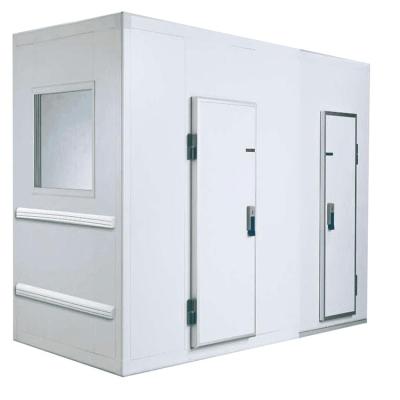 China Frozen Cold Storage Room Freezer Room Container Refrigerator Cold Storage Refrigerator Freezer Chicken for sale