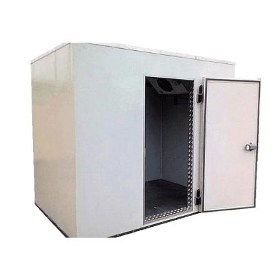 China Cold Storage Room Freezer Room Cold Room Container Negative House Prefab Negative Cold Room for sale