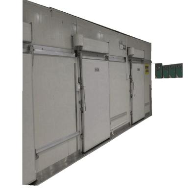 China Cold Storage Room Freezer Room Mini Cold Room Cold Room Doors Cold Room For Flower for sale