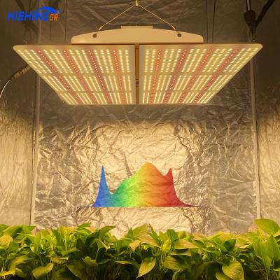 China Led grow lights Hishine Group 420 commercial led grow light 600w led greehouse lighting grow light 600W for plant growth for sale