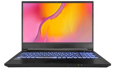 China van de de Grafiekkaart van 15.6inch RTX3060 6GB Specifiek Laptop I7 11800H cpu Kleurrijk Backlit Toetsenbord Te koop