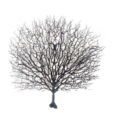 China Home Decor Simulation Fake Branches Dead Branch Peacock Coral Simple Plastic Eco-friendly Art Coral Home Decoration for sale