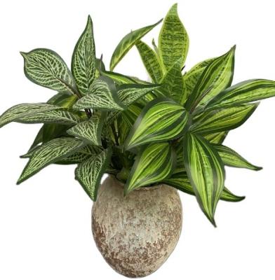 China Eco - Friendly Artificial Hanging Plants , Fake Hanging Plants Fake Potted Greenery Plants Faux Eucalyptus Vine , Mandala Vine In Pot for sale