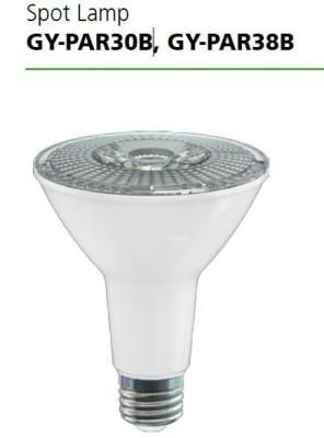 Chine DOB Dimmable LED de GY-PAR30B/GY-PAR38B met en lumière 12W/15W avec le logement en plastique en aluminium à vendre