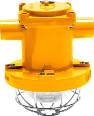 Chine Éclairage élevé anti-déflagrant de baie d'ATEX 40 W LED pour le support de Rod de cintre de la zone 1/zone 2 à vendre