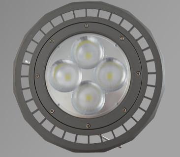 China Certificación industrial del CE ROHS de la eficacia de las luces de inundación del poder más elevado LED 100Lm/W en venta