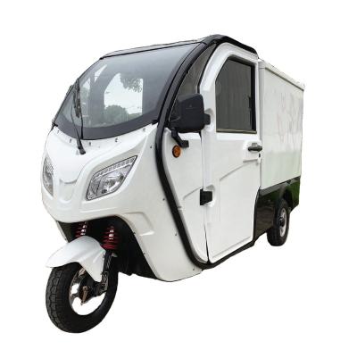 China Adult EEC 3 wheel cargo tricycle enclosed electric tricycle electric tricycle for sale