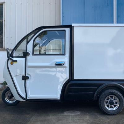 China Cargo 1500w, EEC 3000w Enclosed 3 Wheel Cargo Tricycle Adult Bike Electric Tricycle Trike Truck for sale