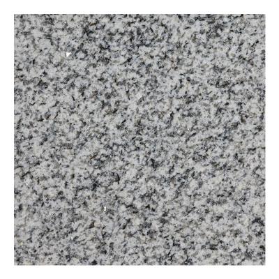 China Modern Top Selling Cosmic White Granite Slabs For Kitchen Countertops Matchbook Wall for sale