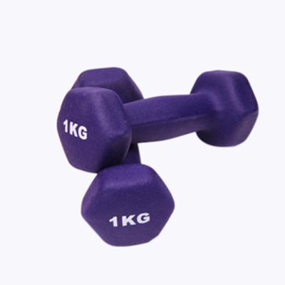 China Eco-friendly Ladies Small Dumbbell Dip Dumbbells Dumbbells Hot Sale Custom Private PVC Training Equipment for sale