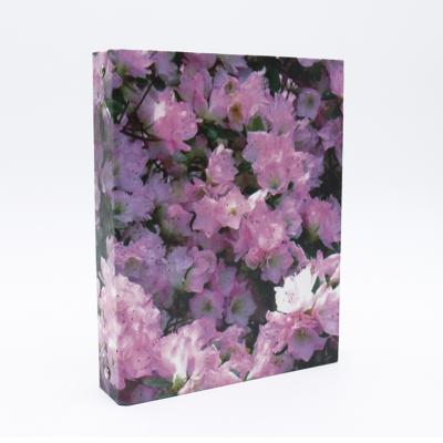 China Ring Binder Three-hole Flower Printed Folder File Storage Letter Size 3 Hole For School Or Office for sale