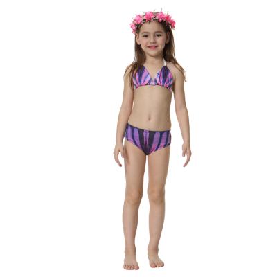 China Amazon Hot Selling 2 Piece Fashion Kids Swimwear Kids Anti-UV Beach Swimwear Girls Bikini Kids for sale