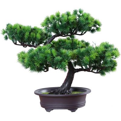 China Really Feel the Artificial Bonsai Pine Plants Potted Plants Home Living Room, Welcome Zen Garden Decoration Simulation Pine Bonsai for sale