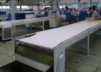 China Hot Sale PVC Belt Conveyor for Conveying for sale