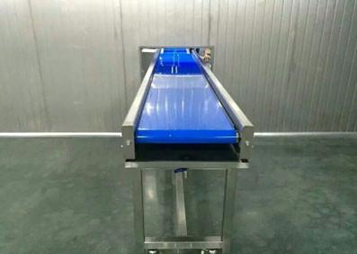 China Customized Belt Conveyor with PVC/PU/Rubber/Silicone Belt Material for sale