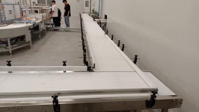 China Zzgenerate Food Grade PVC or PU Belt Conveyor for Pastry Conveying for sale