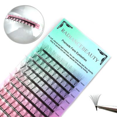 China High Quality Korean PBT Full Volume 3D Luxurious Material Lashes Eyelash Extensions Premade Volume Fans for sale