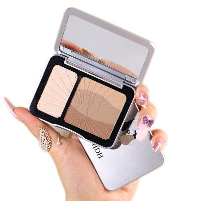 China Highlight Bar Waterproof Stereoscopic Shiny Makeup Face Shimmer Powder Eyeshadow Empty Nude Clear Palette for sale