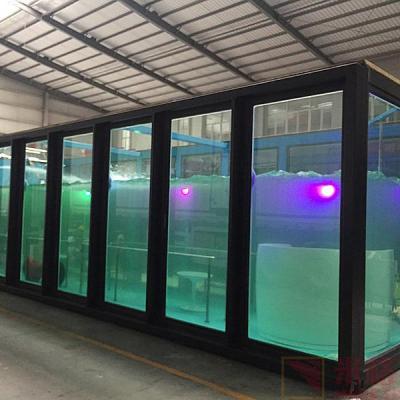 Κίνα US America Standard Customized Color and Material Container Swimming Pool 20ft 40ft with Wave Water Jet Led Light προς πώληση