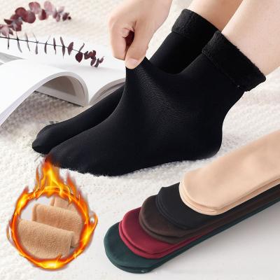 China Cotton Amazon hot selling socks women plush home floor sockst hick socks for women for sale