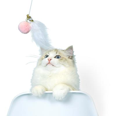 China 2023 Viable Cat Teaser Feather Laser Toys 20cm Cat Fashion Portable Retractable Interactive Games for sale