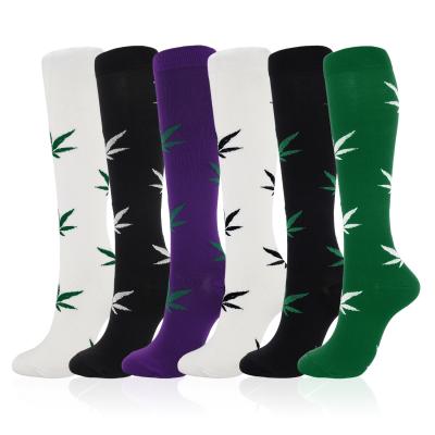 China QUICK DRY Custom Thick Cotton Gaiters Weed Casual Socks Socks Manufacturer for sale