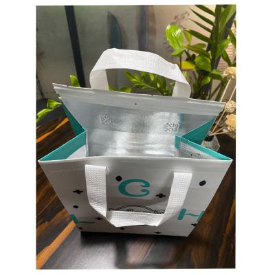 China Foldable Nonwoven Printable Non Woven Bag Logo Non Woven Takeaway Bag Printable Folding PLA Insulation Bag Pattern for sale