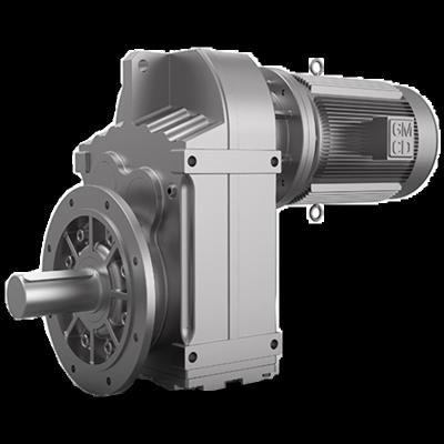 China All Industries F Series Guomao Lide Mechanical Transmission Small Gear Motors With Customized Voltage And High Efficient for sale