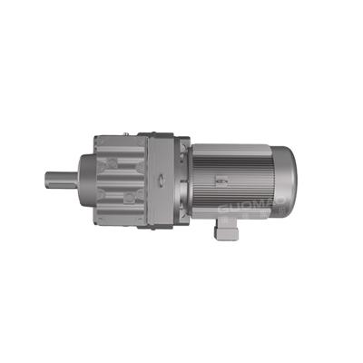 China All industries R series helical gearbox/bevel gear gearbox with motor/Guomao Lide helical gear box use for sale