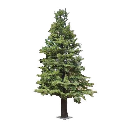 China Real Touch Tree Indoor High Quality Large Cheap Artificial Metasequoia Evergreen Tree Outdoor Garden Decorative for sale