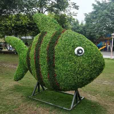 China Long Life Selling Fish Green Grass Animal Sculpture Environmental Topiary Boxwood Topiary Frame For Garden Decor for sale