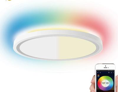 China Outdoor Mounted Wifi Ceiling Lights Smart Lights for sale