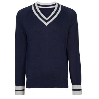 China QUICK DRY Casual V-Neck Merino Wool Men Sweater Knitwear Long Sleeve Sweater for sale